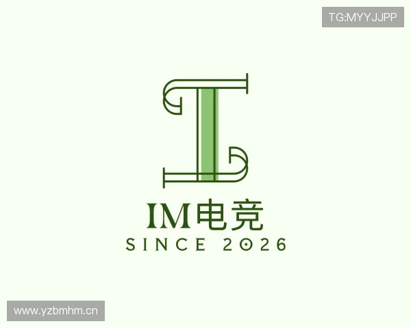 介绍IM电竞